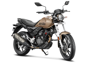 Hero-Xpulse-200-T