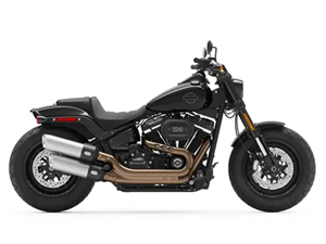 FAT BOB
