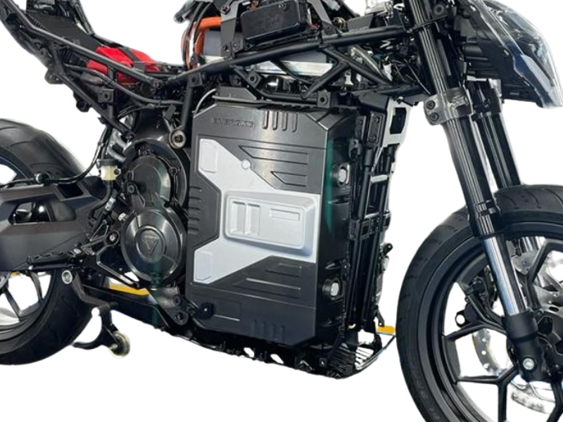 Electric motorcycle motor