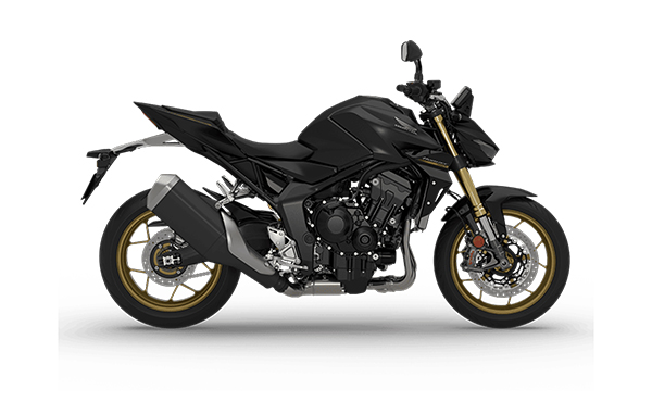 Hornet 1000 SP
