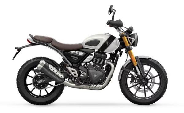 Untitled design (59)