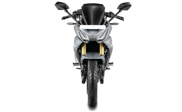 FRONT PROFILE