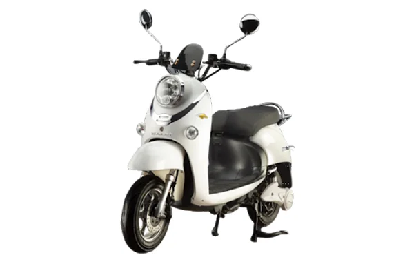 FRONT SIDE PROFILE