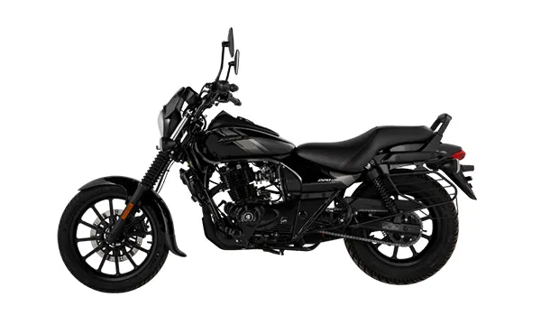 Bajaj Avenger 220 Street