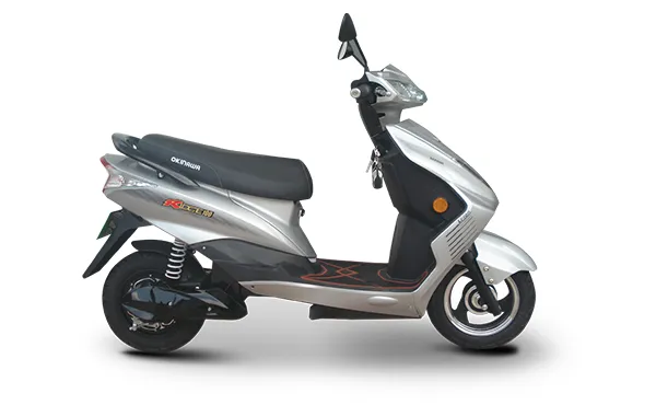 RIDGE 100 SILVER
