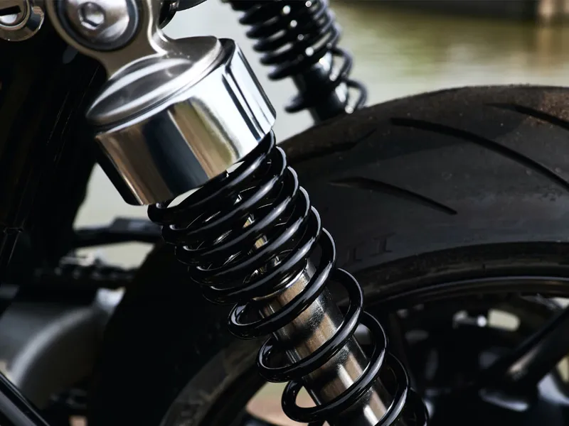 Dual Shock motorcycle swingarm
