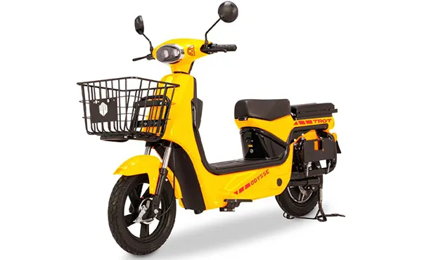 trot-yellow1