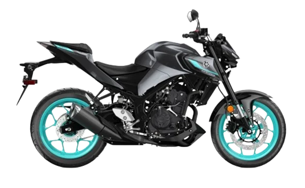 FZ 25