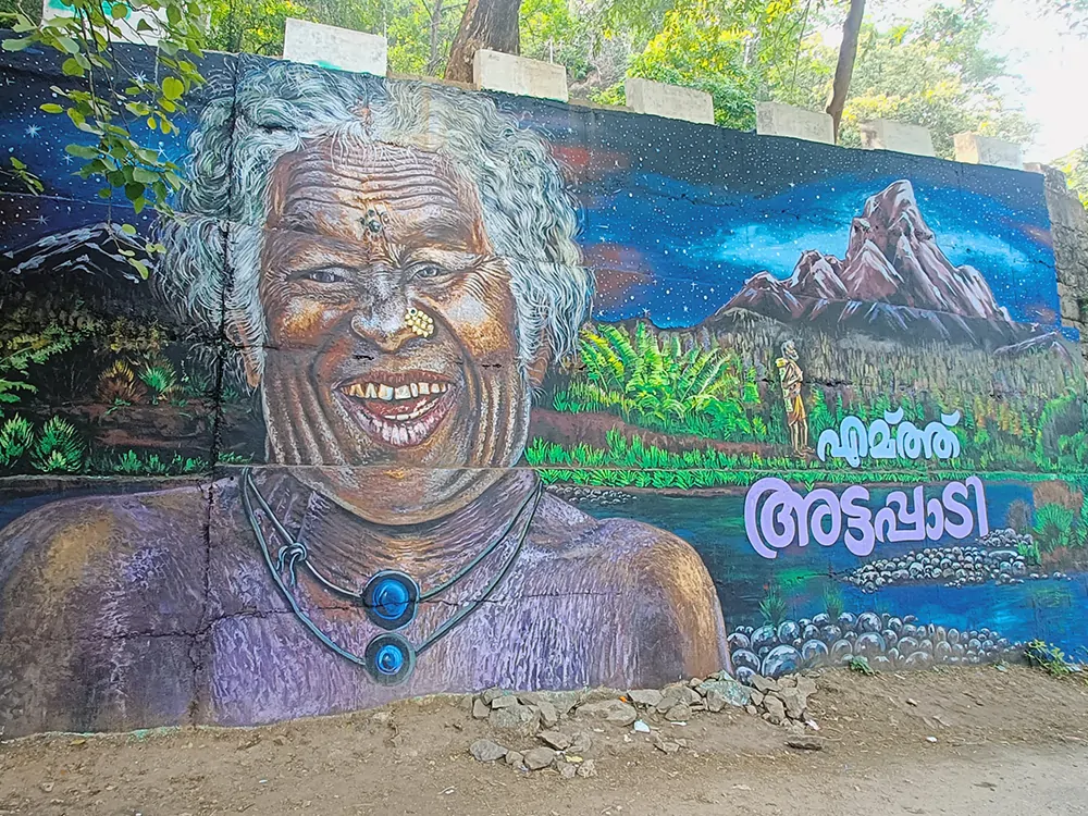 Attappadi Kotagiri route