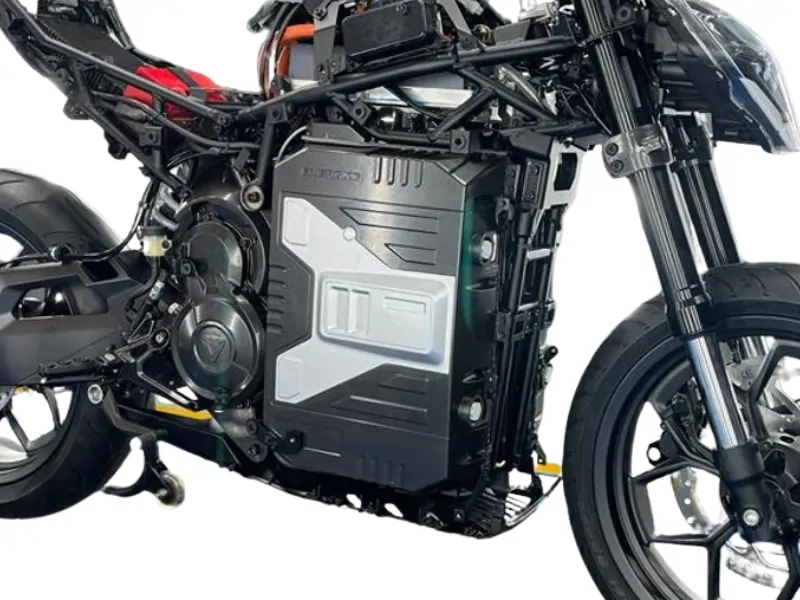 Electric motorcycle motor