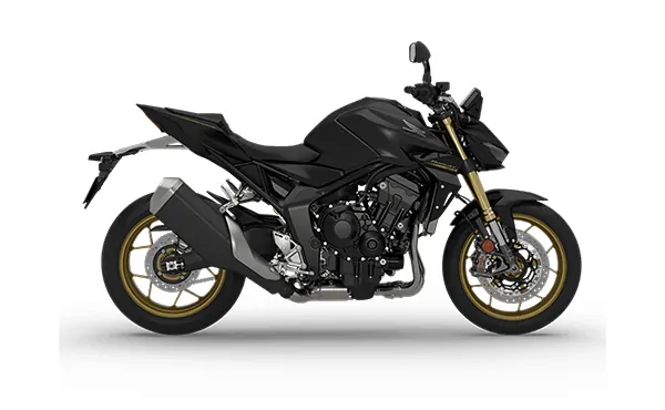 Hornet 1000 SP