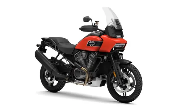 Untitled design (53)