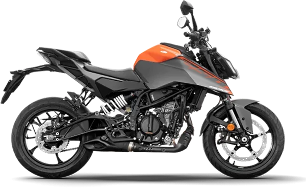 390-Duke
