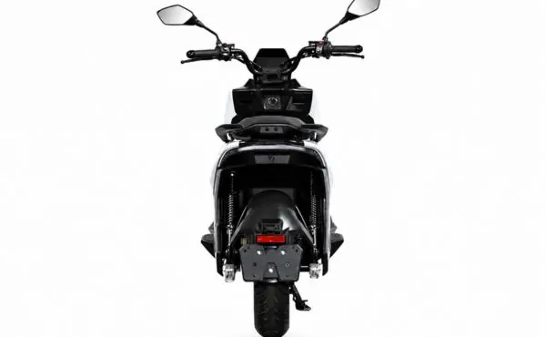 Rear Profile